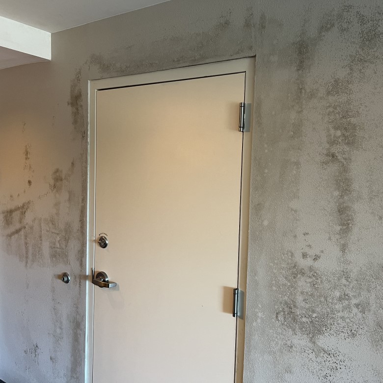 Indoor air quality compromised by mold growth.